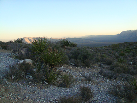 Sunset at Red Rock Canyon